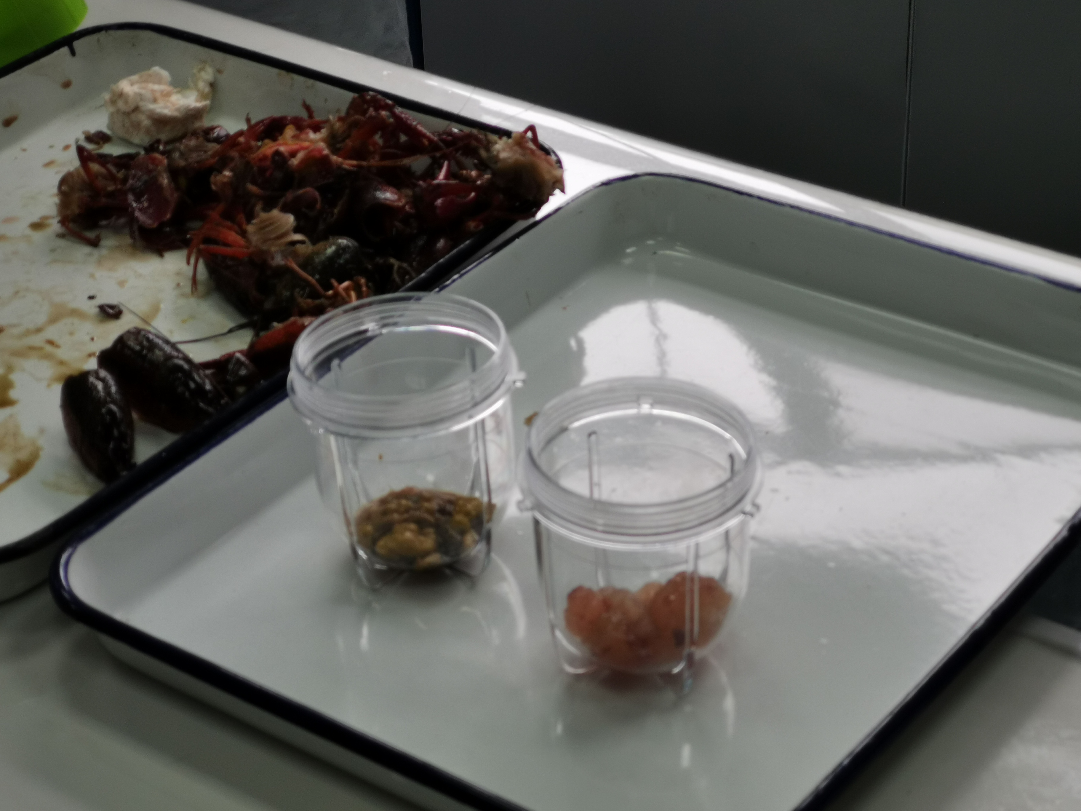 分离出来的虾尾肉和虾黄.jpg