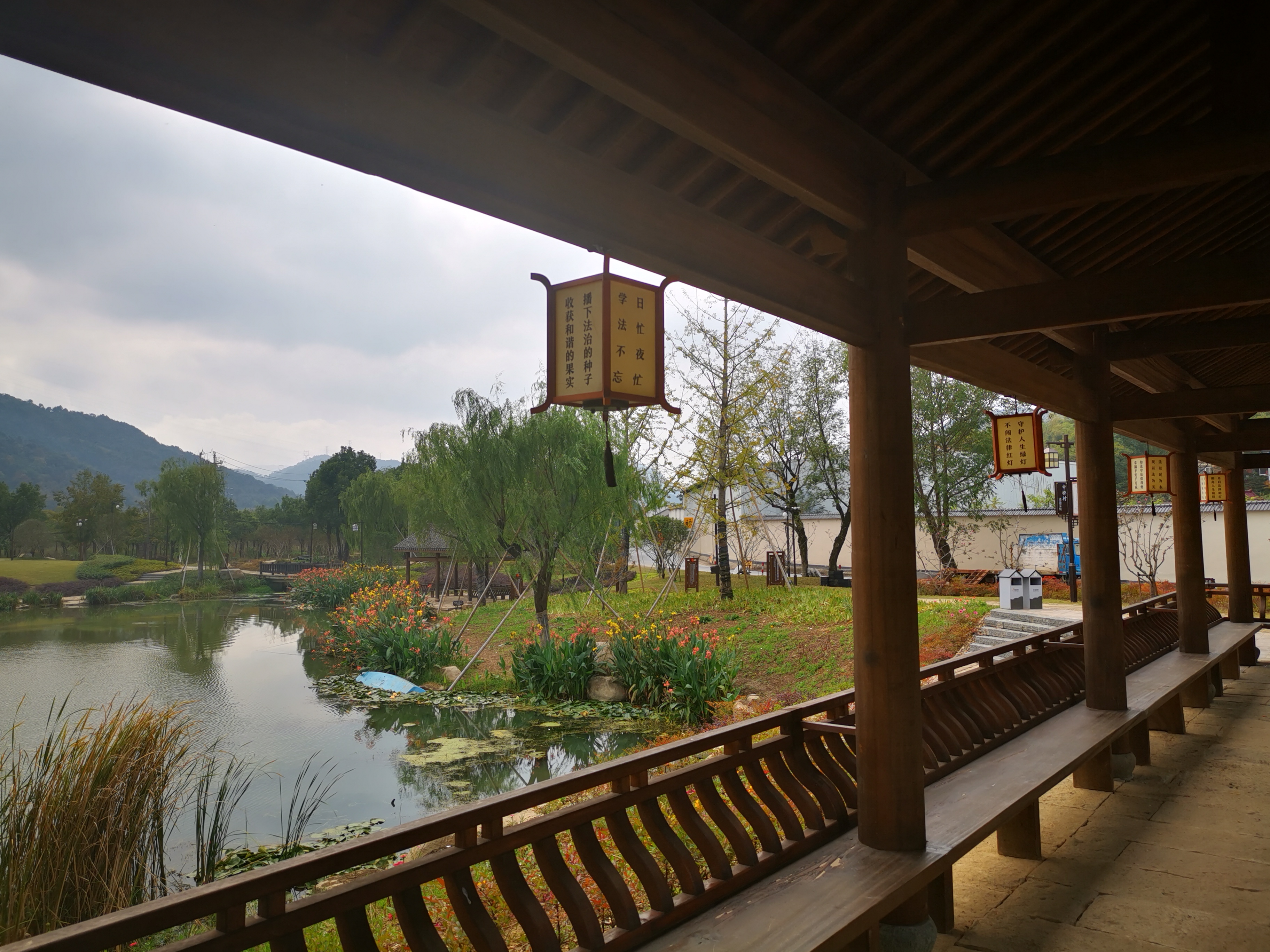 中泰街道中桥村2.jpg