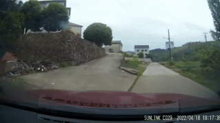 640.gif