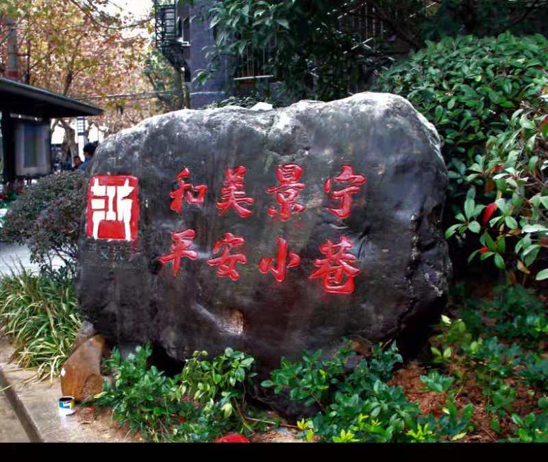 “平安小巷”助力和美景宁建设.png