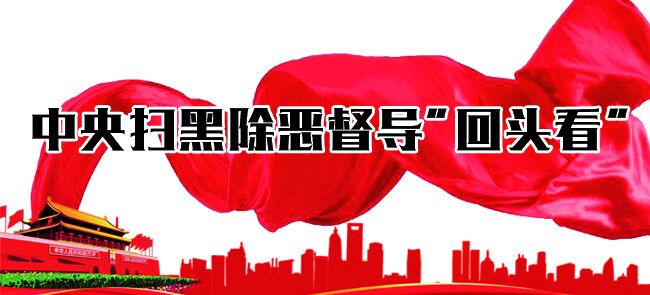 中央扫黑除恶回头看报花.jpg